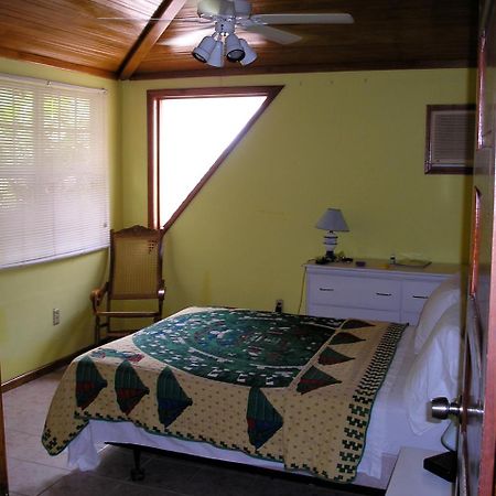 Green Parrot Beach Houses And Resort Placencia Eksteriør bilde