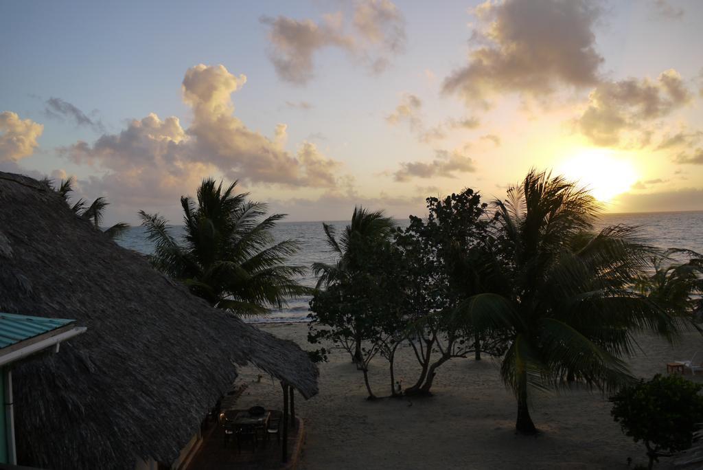 Green Parrot Beach Houses And Resort Placencia Eksteriør bilde
