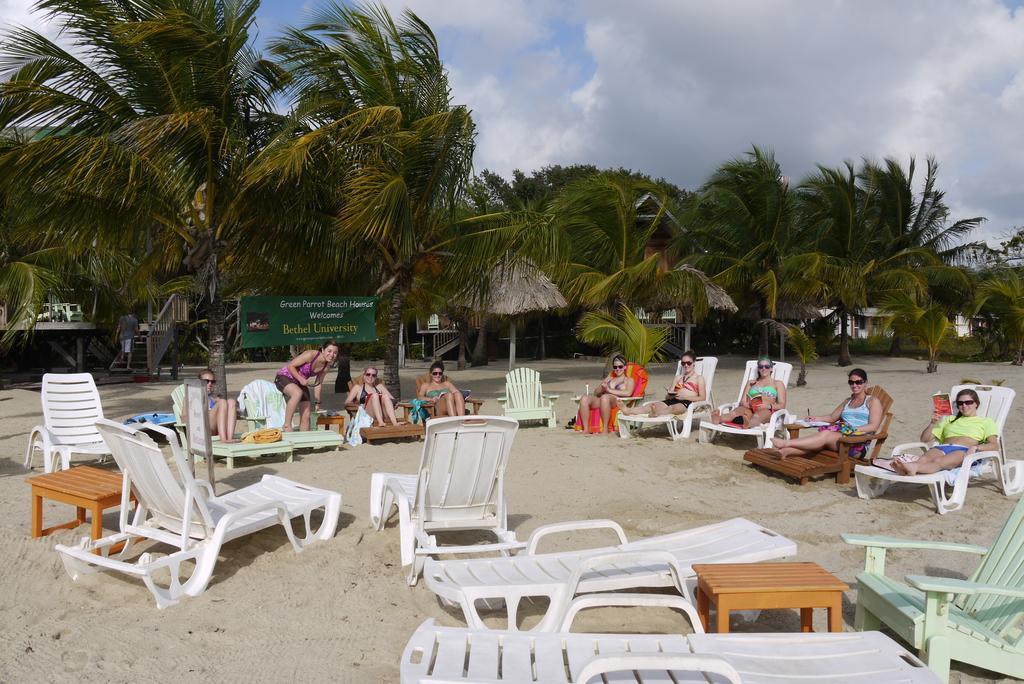 Green Parrot Beach Houses And Resort Placencia Eksteriør bilde