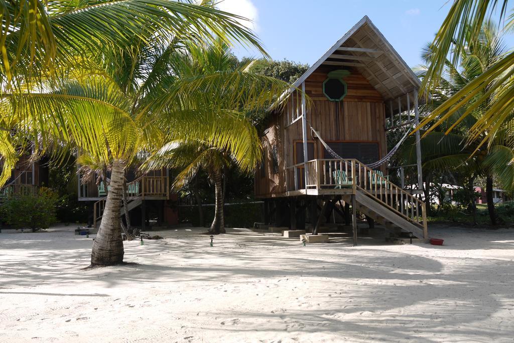 Green Parrot Beach Houses And Resort Placencia Eksteriør bilde