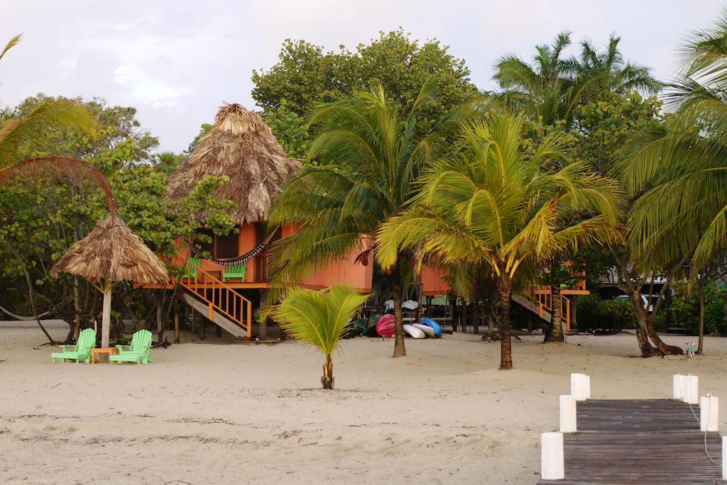 Green Parrot Beach Houses And Resort Placencia Eksteriør bilde