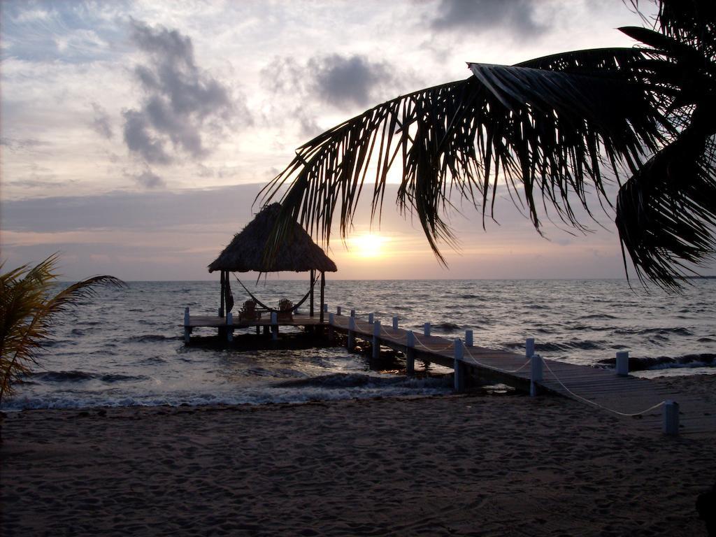 Green Parrot Beach Houses And Resort Placencia Eksteriør bilde