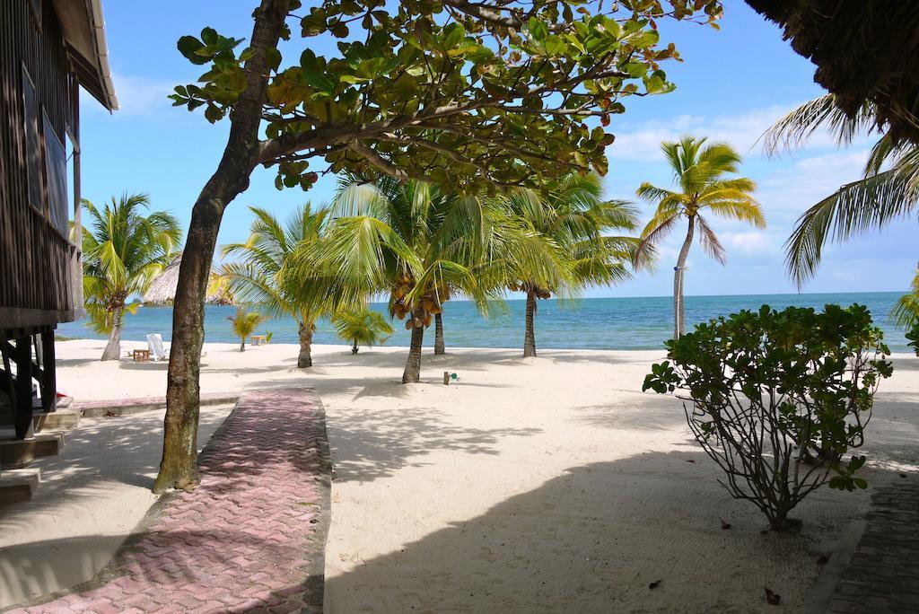 Green Parrot Beach Houses And Resort Placencia Eksteriør bilde