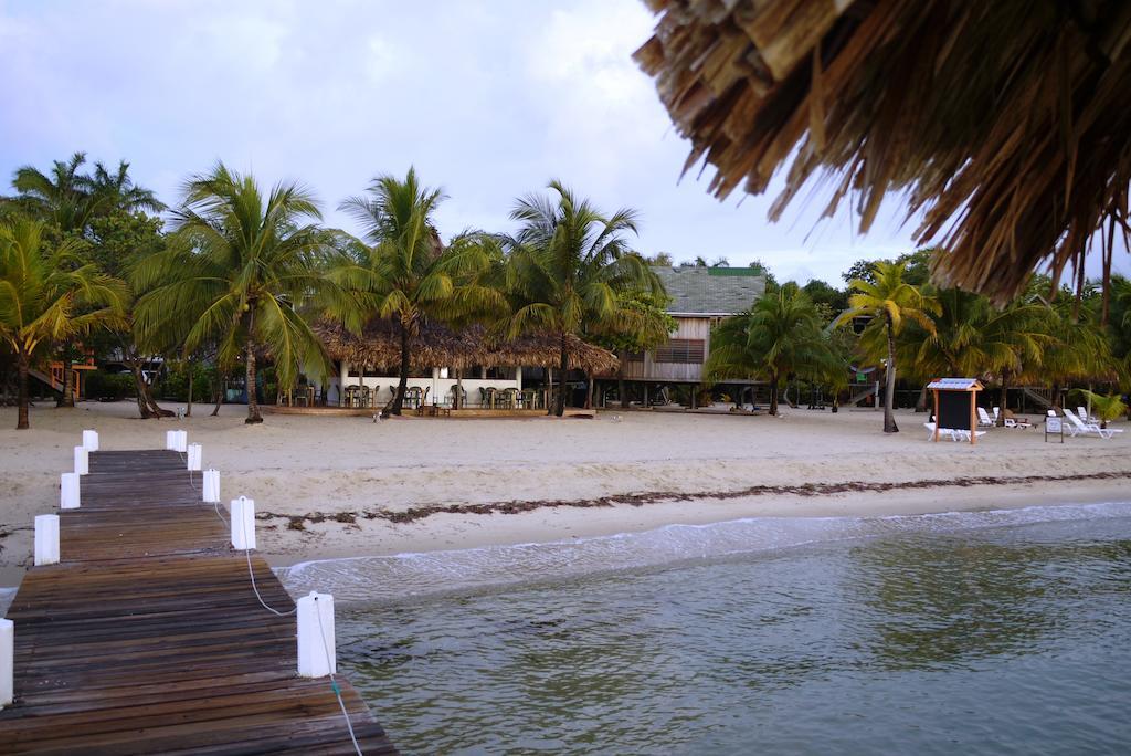 Green Parrot Beach Houses And Resort Placencia Eksteriør bilde