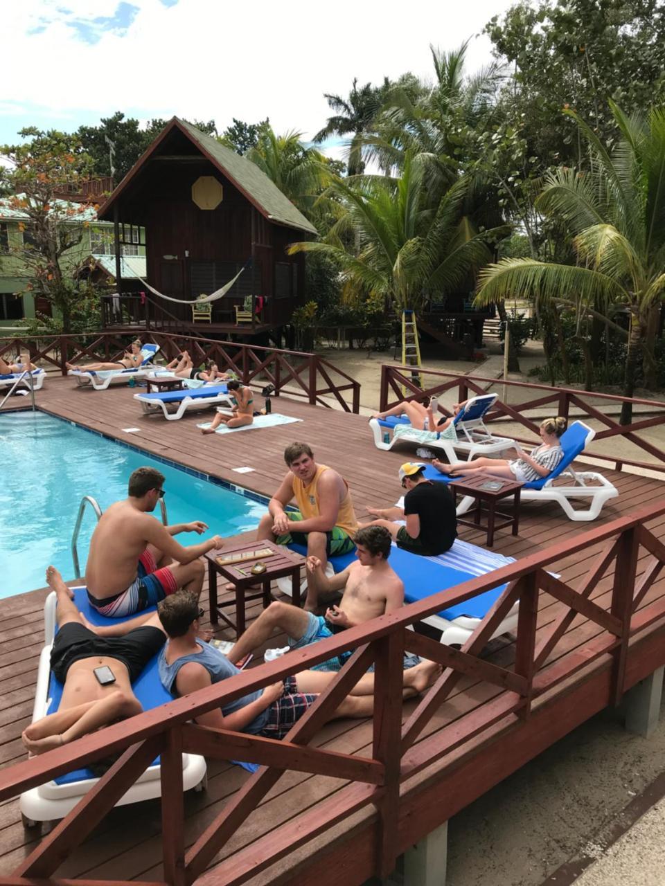 Green Parrot Beach Houses And Resort Placencia Eksteriør bilde