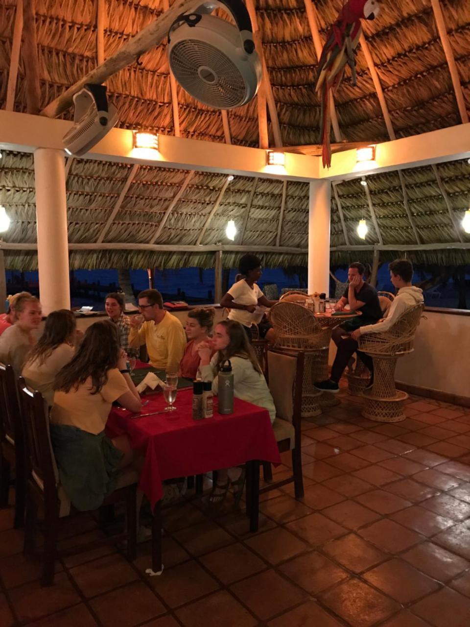 Green Parrot Beach Houses And Resort Placencia Eksteriør bilde