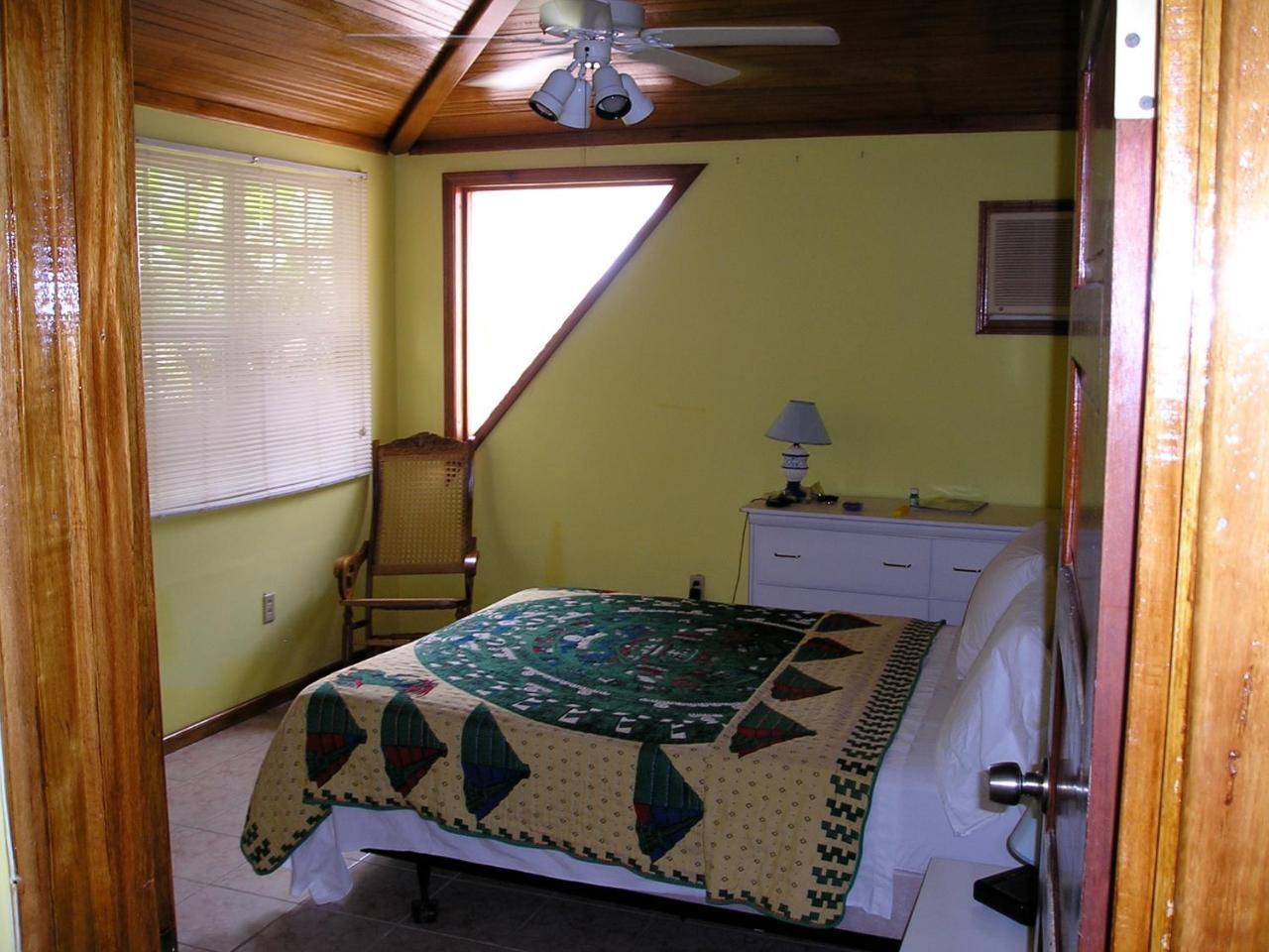 Green Parrot Beach Houses And Resort Placencia Eksteriør bilde