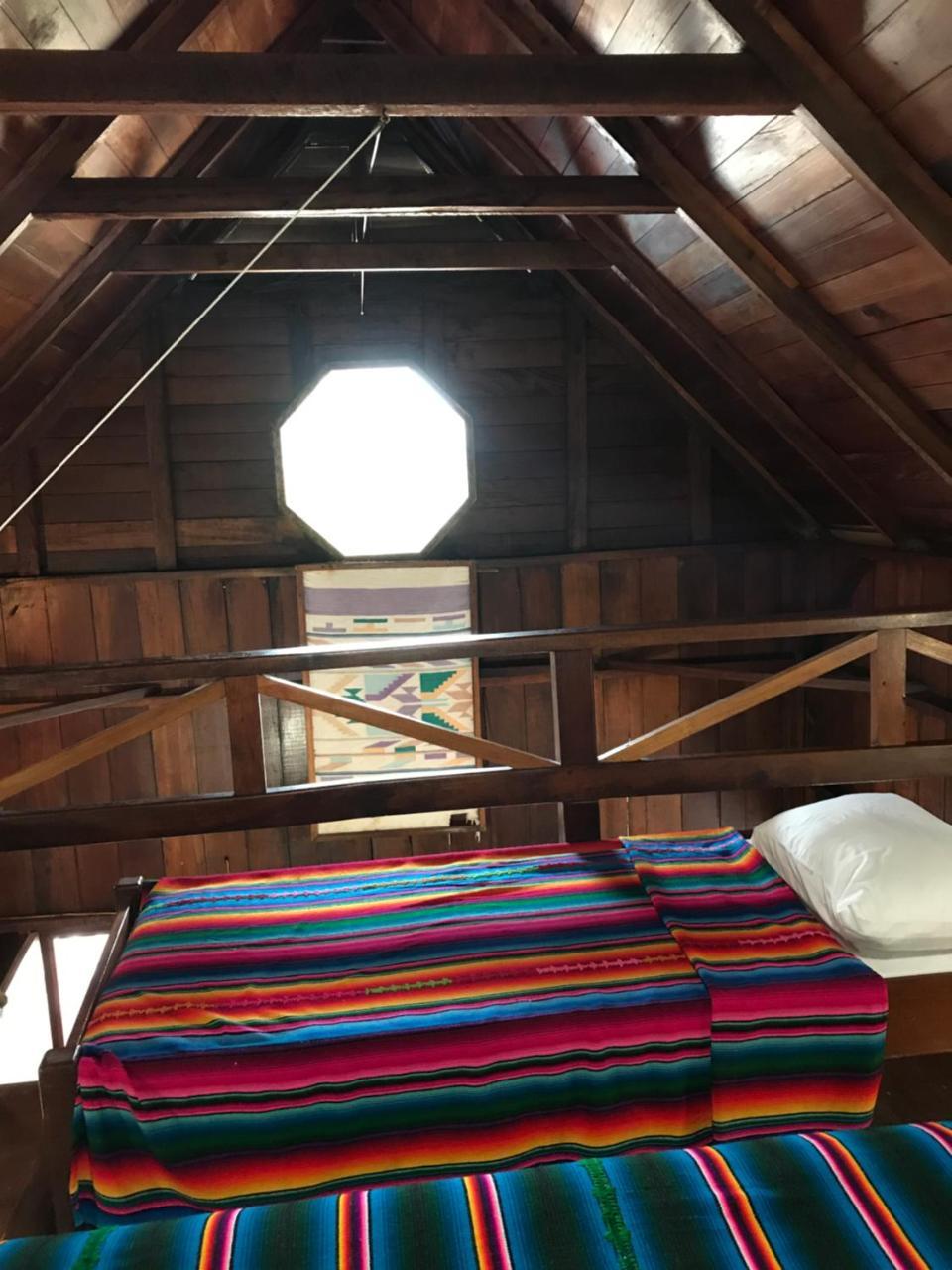 Green Parrot Beach Houses And Resort Placencia Eksteriør bilde