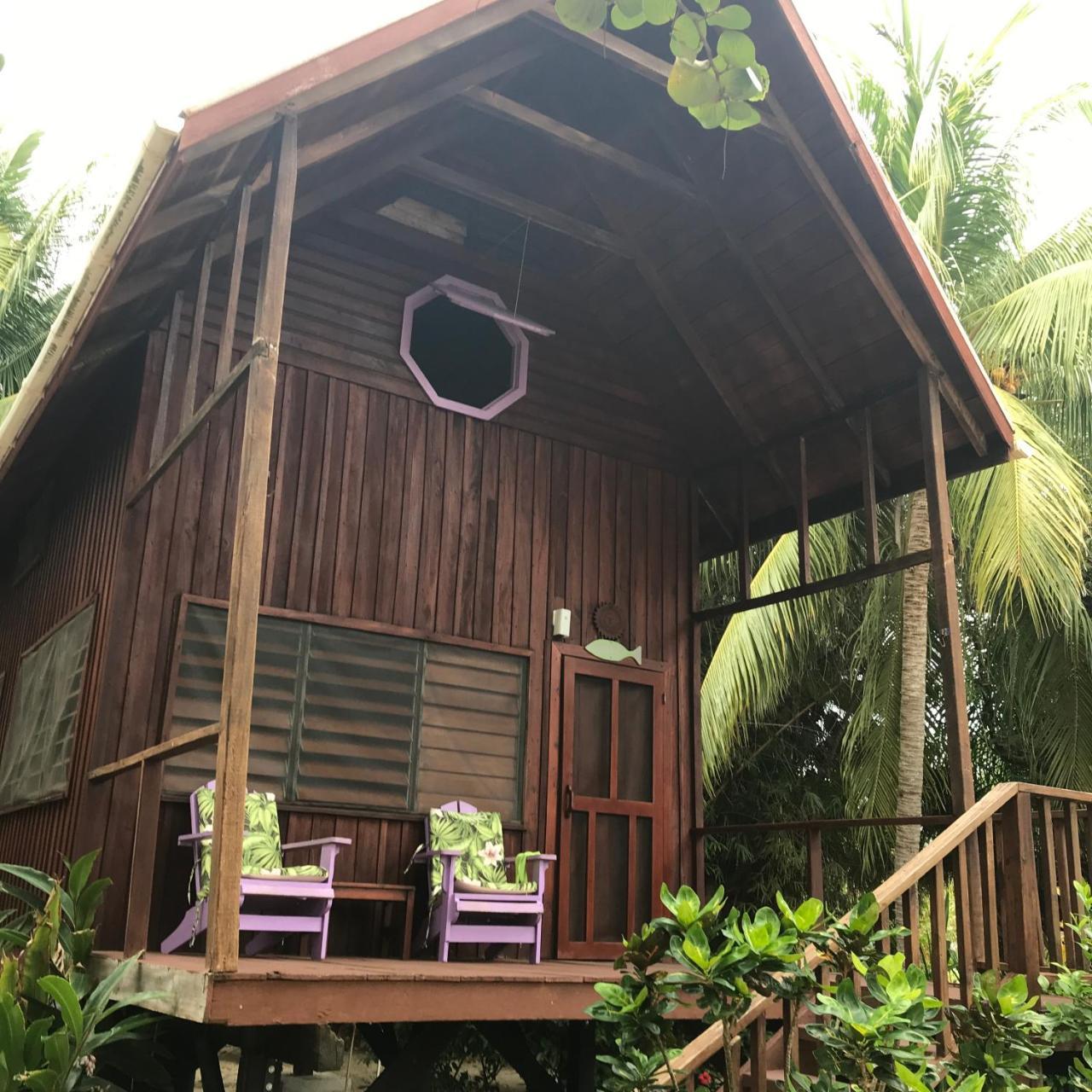 Green Parrot Beach Houses And Resort Placencia Eksteriør bilde