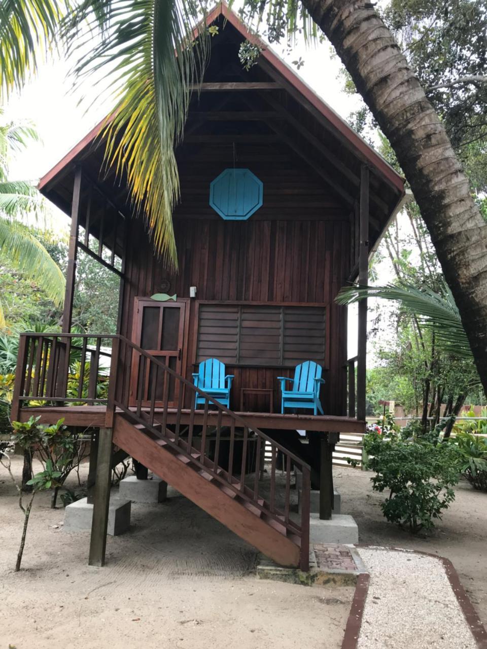 Green Parrot Beach Houses And Resort Placencia Eksteriør bilde