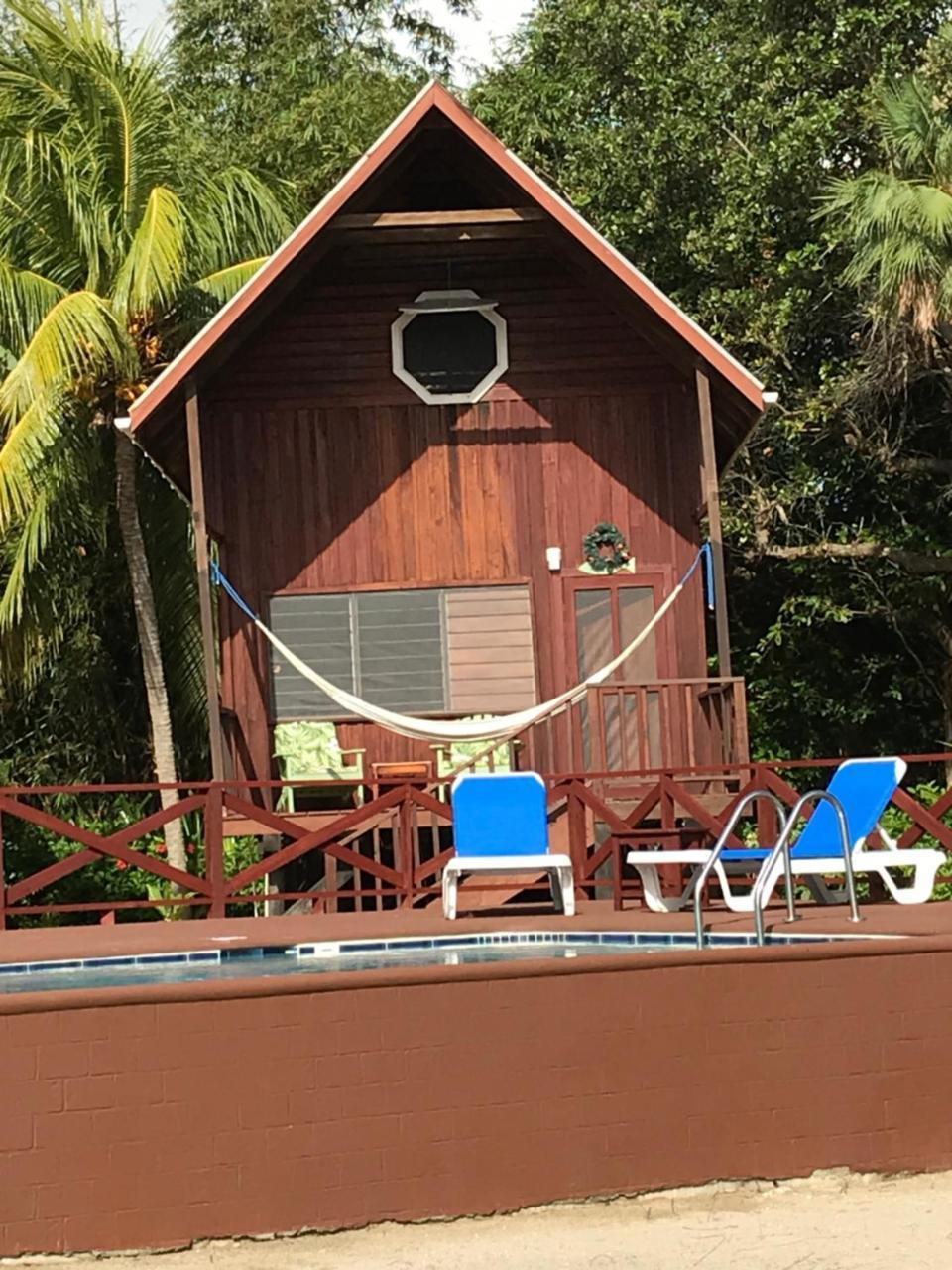 Green Parrot Beach Houses And Resort Placencia Eksteriør bilde